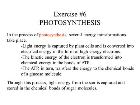 Exercise #6 PHOTOSYNTHESIS photosynthesis In the process of photosynthesis, several energy transformations take place. -Light energy is captured by plant.