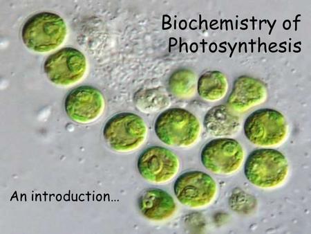 Biochemistry of Photosynthesis An introduction…. Photosynthesis – What can you remember? What is the word equation for photosynthesis? What is the balanced.