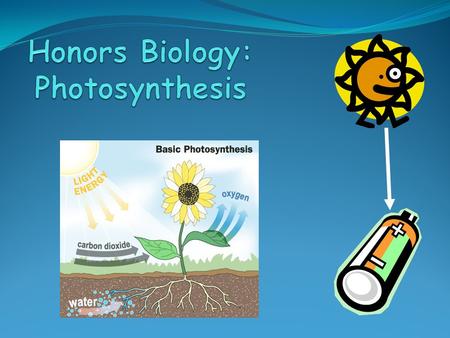 Honors Biology: Photosynthesis