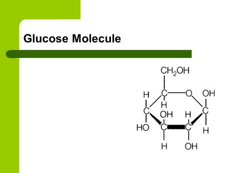 Glucose Molecule.