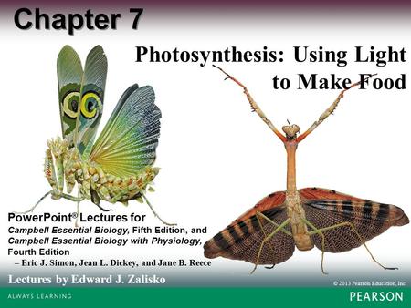 © 2013 Pearson Education, Inc. Lectures by Edward J. Zalisko PowerPoint ® Lectures for Campbell Essential Biology, Fifth Edition, and Campbell Essential.
