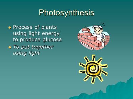 Photosynthesis  Process of plants using light energy to produce glucose  To put together using light.