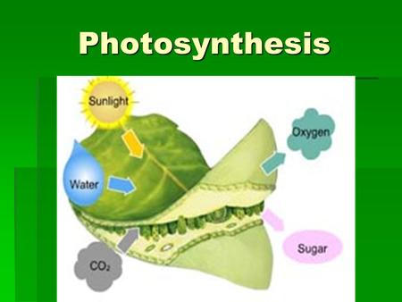 Photosynthesis. Energy Transformations ATP  is the energy molecule used in all living things, so supplies must be constantly replenished.  energy must.