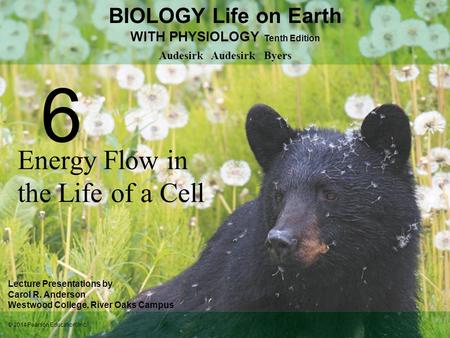 Energy Flow in the Life of a Cell