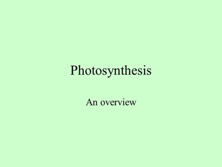 Photosynthesis An overview. The Leaf The chloroplast.