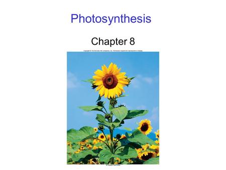 Photosynthesis Chapter 8. 2 Photosynthesis Overview Energy for all life on Earth ultimately comes from photosynthesis. 6CO 2 + 12H 2 O C 6 H 12 O 6 +