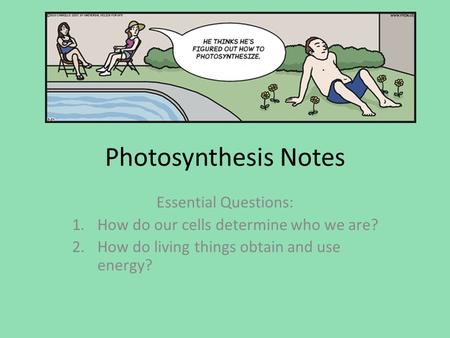 Photosynthesis Notes Essential Questions: 1.How do our cells determine who we are? 2.How do living things obtain and use energy?