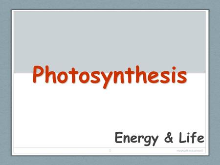 Photosynthesis Energy & Life copyright cmassengale.