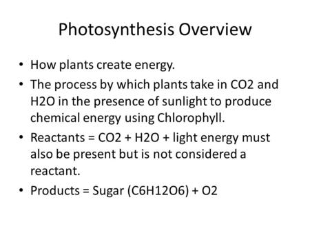 Photosynthesis Overview