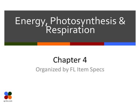 Energy, Photosynthesis & Respiration Chapter 4 Organized by FL Item Specs.