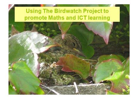 Using The Birdwatch Project to promote Maths and ICT learning.