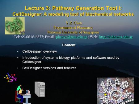 Lecture 3: Pathway Generation Tool I: CellDesigner: A modeling tool of biochemical networks Y.Z. Chen Department of Pharmacy National University of Singapore.