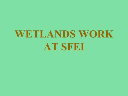 WETLANDS WORK AT SFEI. Basic Conceptual Model e.g., juvenile fish, organic carbon, contaminants, detritus e.g., salt, intertidal fishes, suspended sediment.