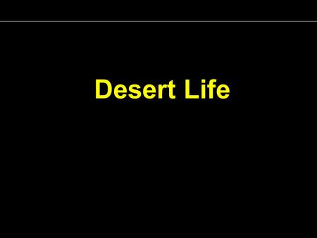 Desert Life.