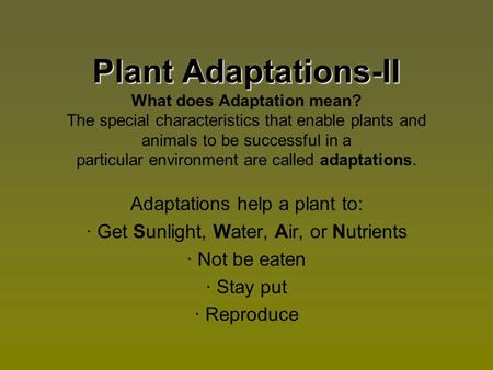 Plant Adaptations-II Plant Adaptations-II What does Adaptation mean? The special characteristics that enable plants and animals to be successful in a particular.
