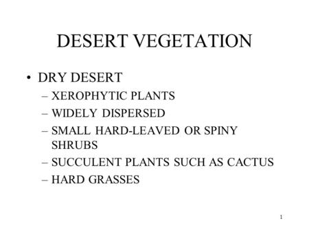 1 DESERT VEGETATION DRY DESERT –XEROPHYTIC PLANTS –WIDELY DISPERSED –SMALL HARD-LEAVED OR SPINY SHRUBS –SUCCULENT PLANTS SUCH AS CACTUS –HARD GRASSES.