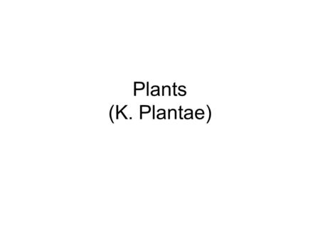 Plants (K. Plantae). Plant Basics Multicellular eukaryotes Cell wall of cellulose Photosynthetic (photoautotrophic) Evolved from an organism similar to.