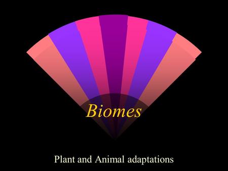 Plant and Animal adaptations
