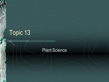 Topic 13 Plant Science.