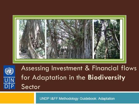 Assessing Investment & Financial flows for Adaptation in the Biodiversity Sector UNDP I&FF Methodology Guidebook: Adaptation.