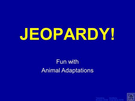 Template by Modified by Bill Arcuri, WCSD Chad Vance, CCISD Click Once to Begin JEOPARDY! Fun with Animal Adaptations.