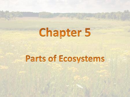 1. ecosystem- All of the living and nonliving things that interact in an area.