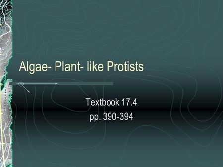 Algae- Plant- like Protists Textbook 17.4 pp. 390-394.