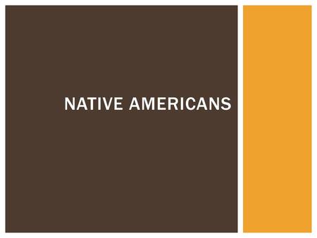 NATIVE AMERICANS.  Using your Native Americans Cultures notes from yesterday, make as many observations you can about Native Americans in general. 