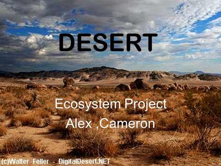 DESERT Ecosystem Project Alex,Cameron. LOCATION Deserts cover about one fifth of the Earth’s land surface. Most hot deserts are near the tropic of cancer.