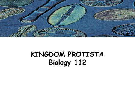 KINGDOM PROTISTA Biology 112. Kingdom Protista All are simple eukaryotes (cells with nuclei). Protists are an unusual group of organisms that were put.