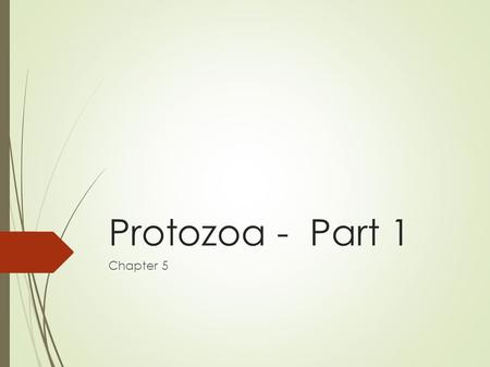 Protozoa - Part 1 Chapter 5.