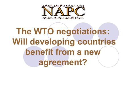 The WTO negotiations: Will developing countries benefit from a new agreement?