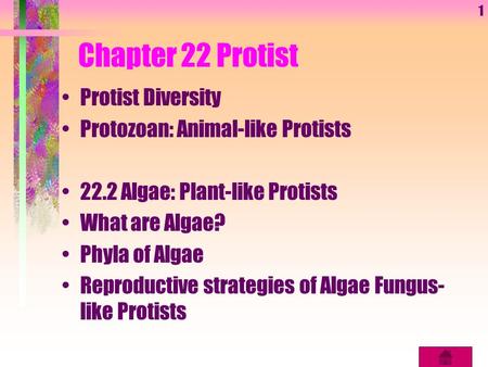 Chapter 22 Protist Protist Diversity Protozoan: Animal-like Protists