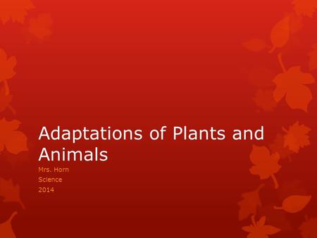Adaptations of Plants and Animals