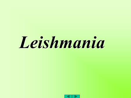 Leishmania.