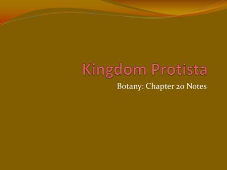 Botany: Chapter 20 Notes. Evolution of Eukaryotes Protist = “very first” Protists were the 1 st Eukaryotic Cells to evolve from Prokaryotic Cells First.