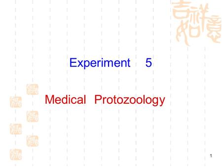 Experiment 5 Medical Protozoology.