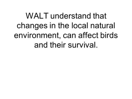 WALT understand that changes in the local natural environment, can affect birds and their survival.
