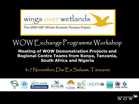 WOW Exchange Programme Workshop Meeting of WOW Demonstration Projects and Regional Centre Teams from Kenya, Tanzania, South Africa and Nigeria 4-7 November,