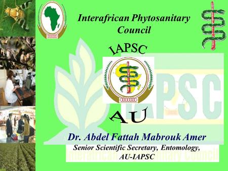 Interafrican Phytosanitary Council Dr. Abdel Fattah Mabrouk Amer Senior Scientific Secretary, Entomology, AU-IAPSC.