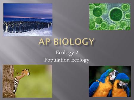 Ecology 2 Population Ecology.  A population is a group of individuals of a single species living in the same general area.  They rely on the same resources.