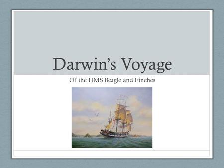 Darwin’s Voyage Of the HMS Beagle and Finches. The HMS Beagle Set sail in 1831 on a voyage around the world Mission: Chart the poorly known South American.
