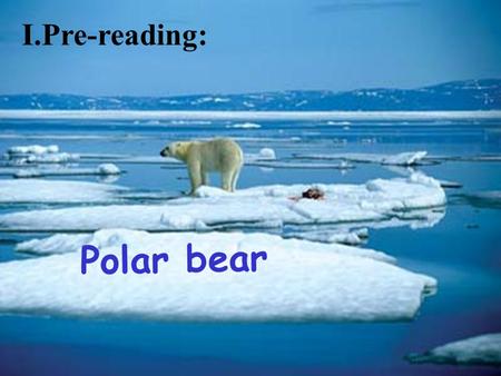 Polar bear I.Pre-reading: penguins Arctic/ North Pole Antarctic/ South Pole Can Polar Bears Eat Penguins ？