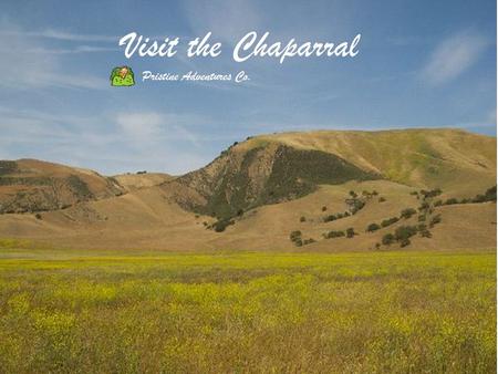 Visit the Chaparral Pristine Adventures Co.. WHERE IS THE CHAPARRAL?