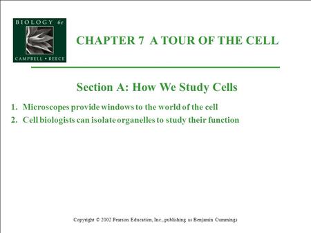 CHAPTER 7 A TOUR OF THE CELL Copyright © 2002 Pearson Education, Inc., publishing as Benjamin Cummings Section A: How We Study Cells 1.Microscopes provide.