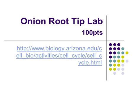 Onion Root Tip Lab 	100pts http://www.biology.arizona.edu/cell_bio/activities/cell_cycle/cell_cycle.html.