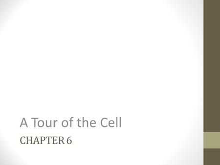 A Tour of the Cell Chapter 6.