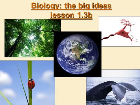 Biology: the big ideas lesson 1.3b. Life at every level  Biology studies a wide range of living things: from small to huge.  Biochemistry is the study.