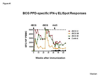 BCG PPD-specific IFN-γ ELISpot Responses Weeks after immunization