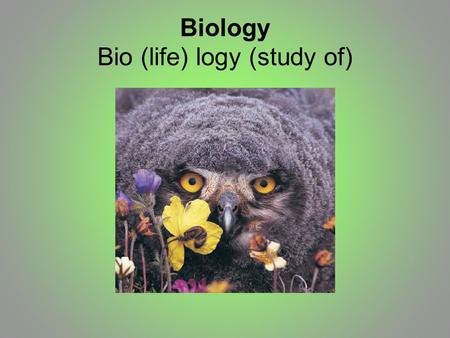 Biology Bio (life) logy (study of). Characteristics of Living Things.